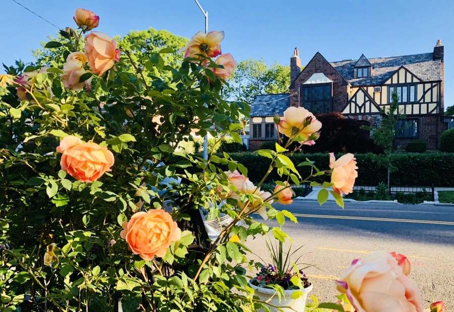 IMG_7678.jpg?type=w966