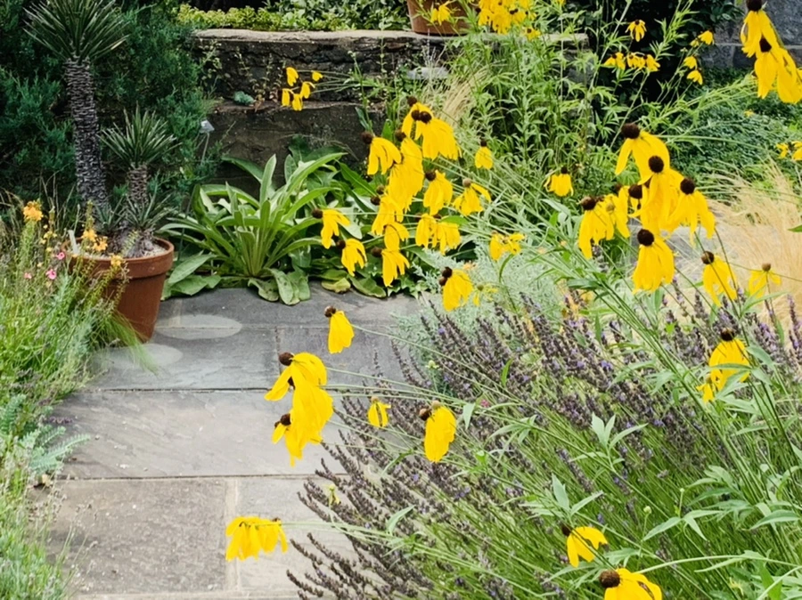 IMG_9468.jpg?type=w966