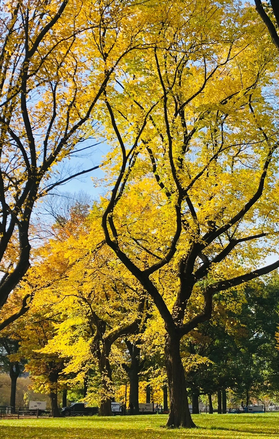 IMG_7509.jpg?type=w966