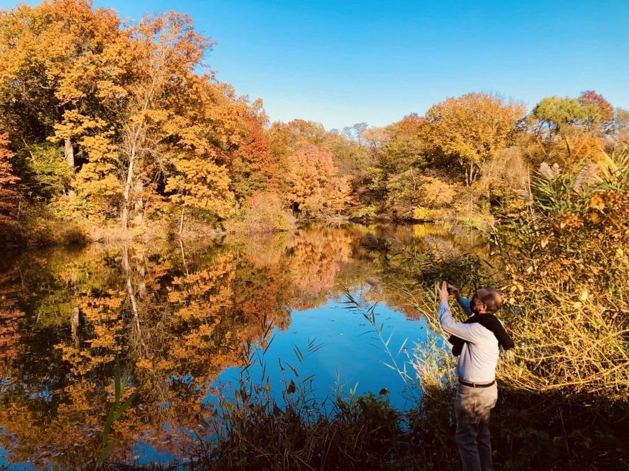 IMG_3586.jpg?type=w966