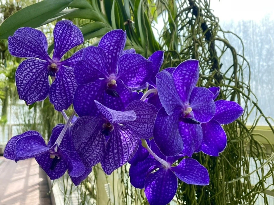 C8G7FgzL2mGwZS5tfKU7LeqABs0