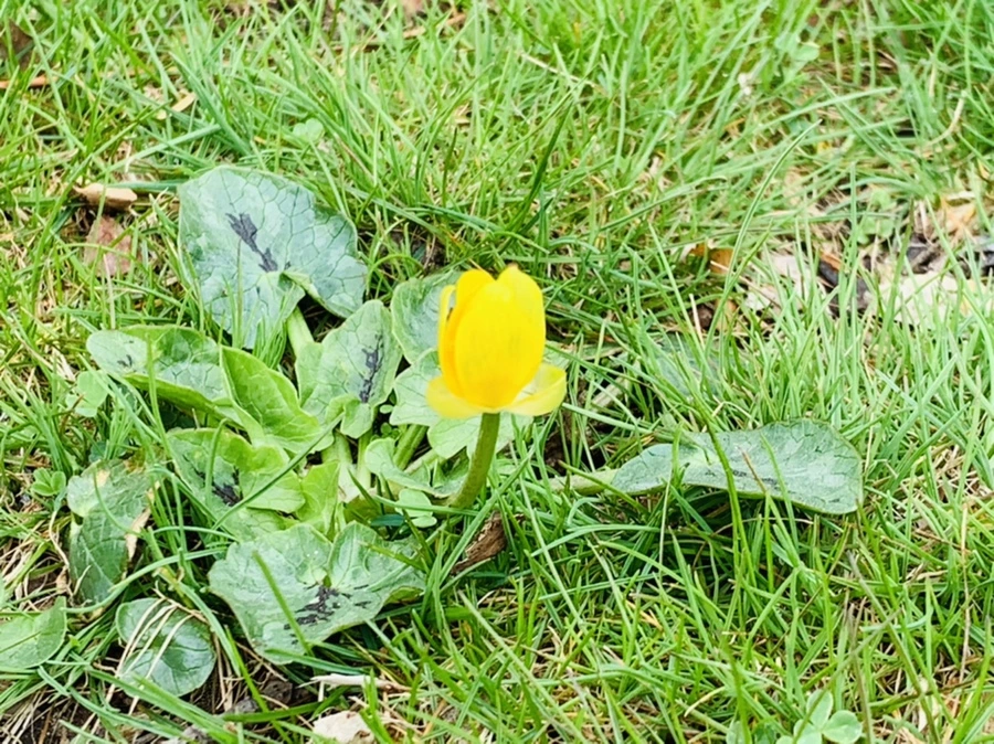 IMG_3504.jpg?type=w966