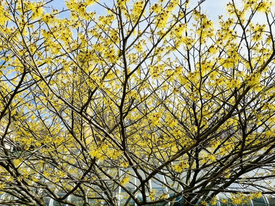 IMG_4170.jpg?type=w966