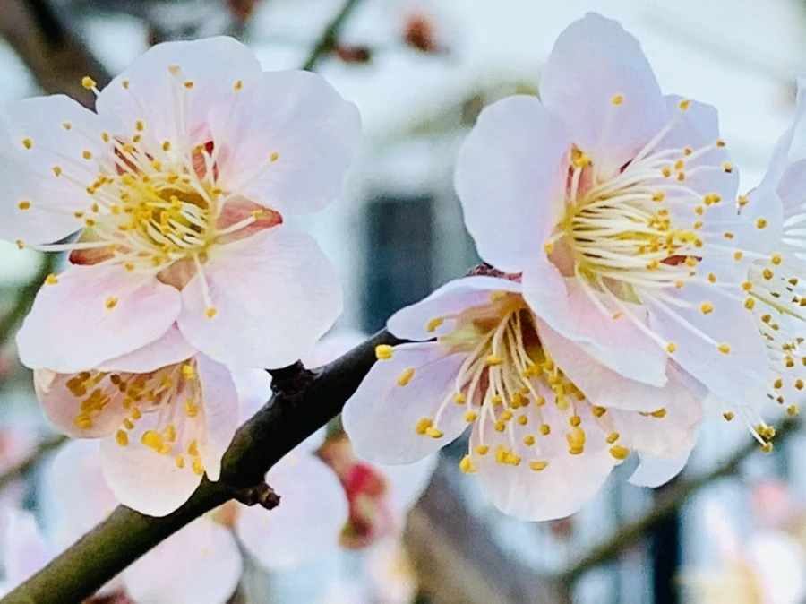 GV03MxlHCnHuN3y5Pif1wmHK1Yo