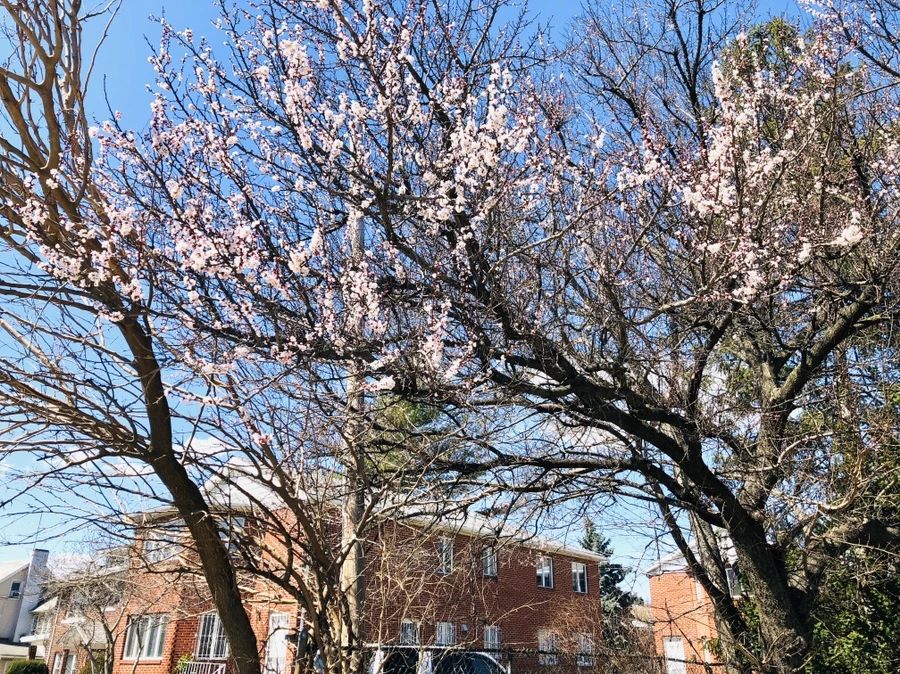 IMG_2168.jpg?type=w966