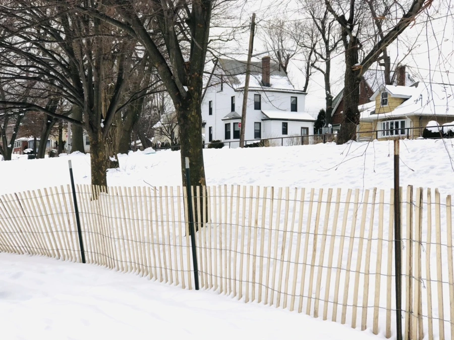 IMG_2377.jpg?type=w966