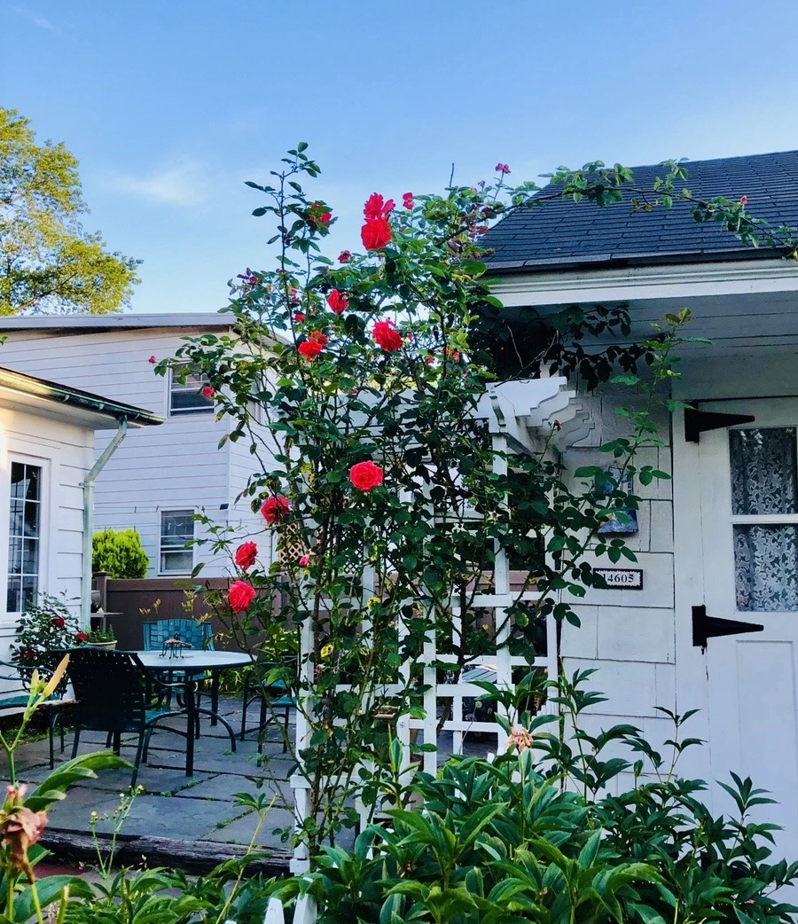 4Uf-ryaA1rdxY3Knm8W788MAYyA