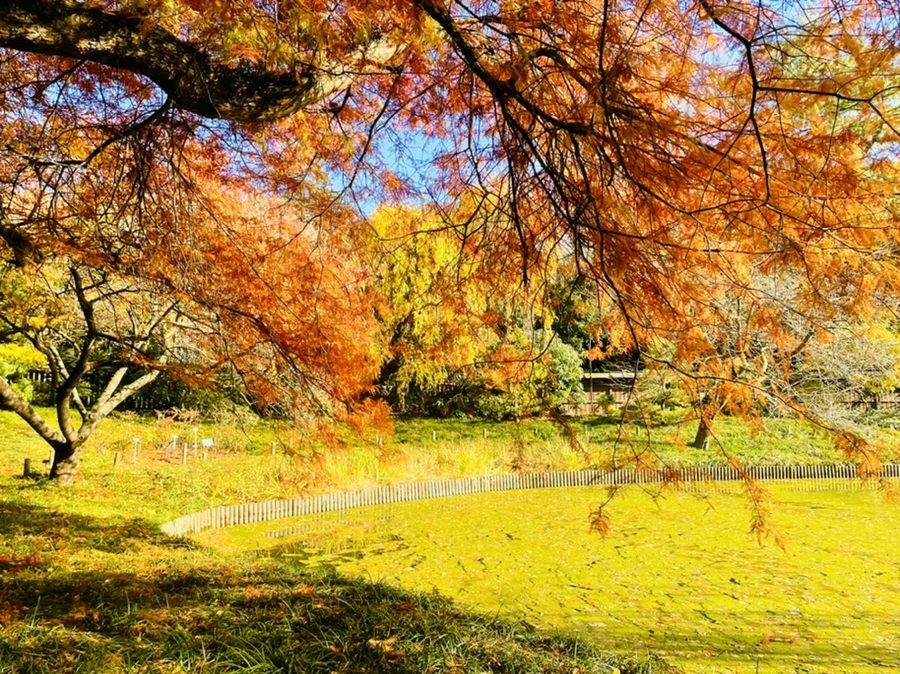 IMG_3172.jpg?type=w966