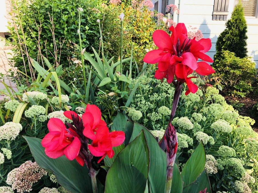 IMG_4469.jpg?type=w966