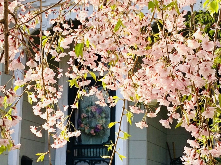 IMG_3711.jpg?type=w966