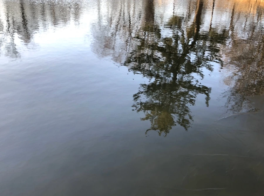 IMG_1115.jpg?type=w966