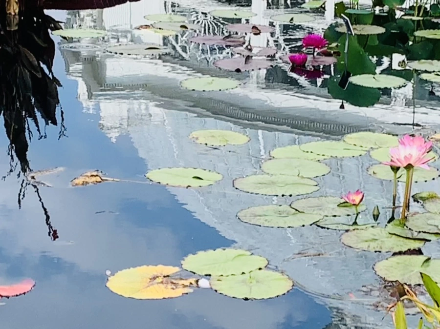 IMG_9002.jpg?type=w966