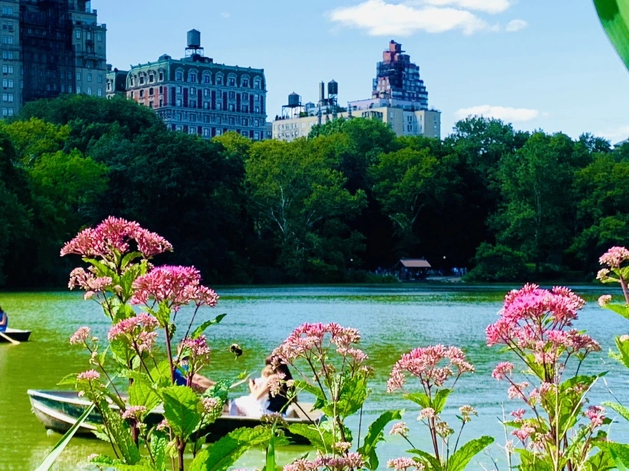 IMG_4462.jpg?type=w966