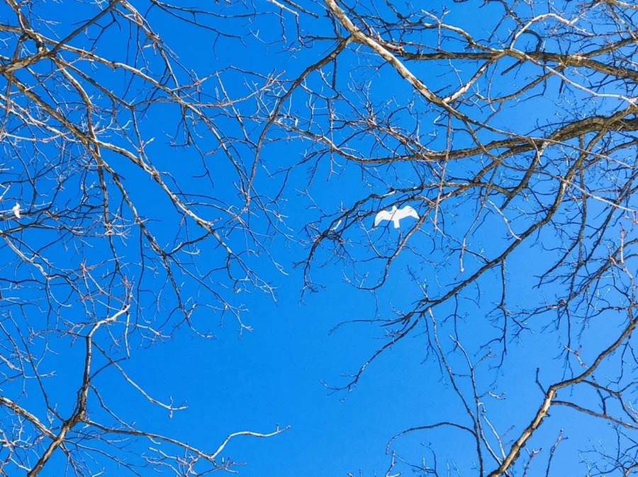 IMG_3979.jpg?type=w966