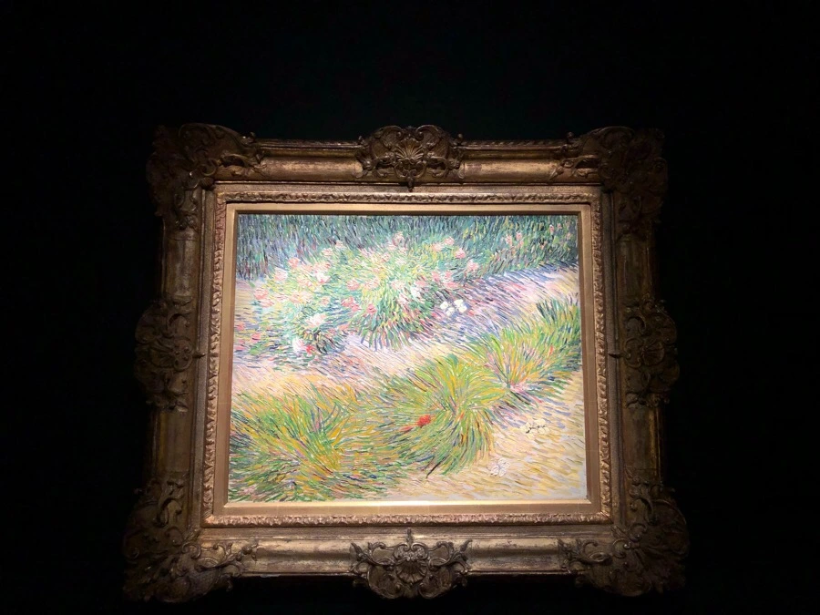 IMG_7438.jpg?type=w966