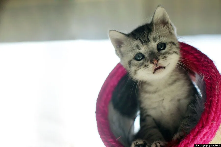 5d8129233b0000039fd61e84.jpeg?ops=scalefit_960_noupscale