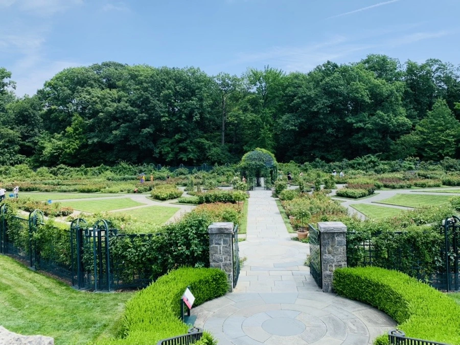 WtS1xvgvF5xmWM7qVm3nXsIA6tY