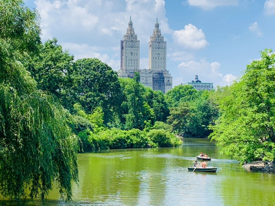 IMG_8548.jpg?type=w966