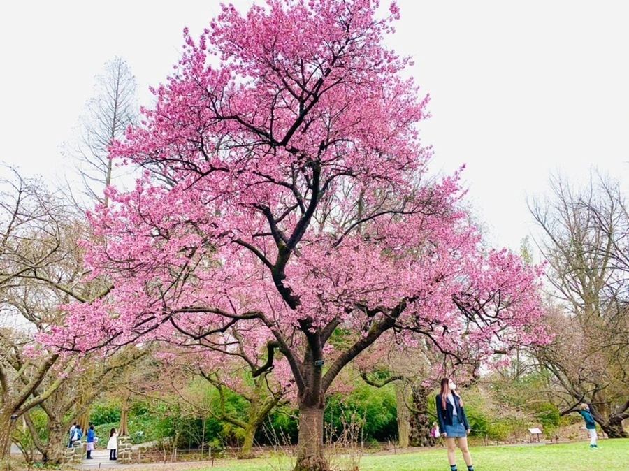 V67FoNzmcHeX7bMGHjr-d57IH90