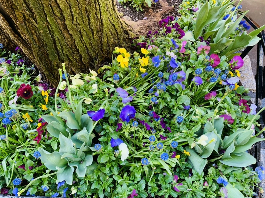 IMG_5662.jpg?type=w966