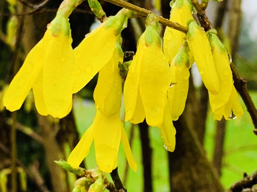 IMG_5063.jpg?type=w966