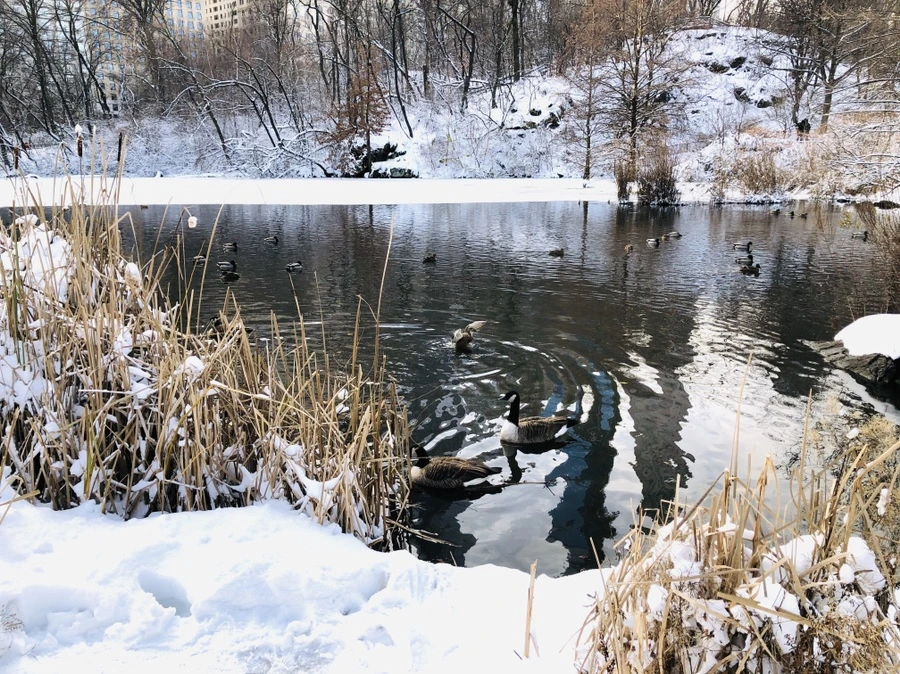 IMG_7194.jpg?type=w966