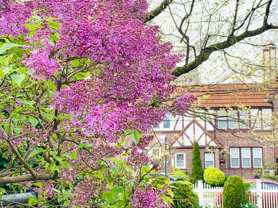 IMG_2844.jpg?type=w966