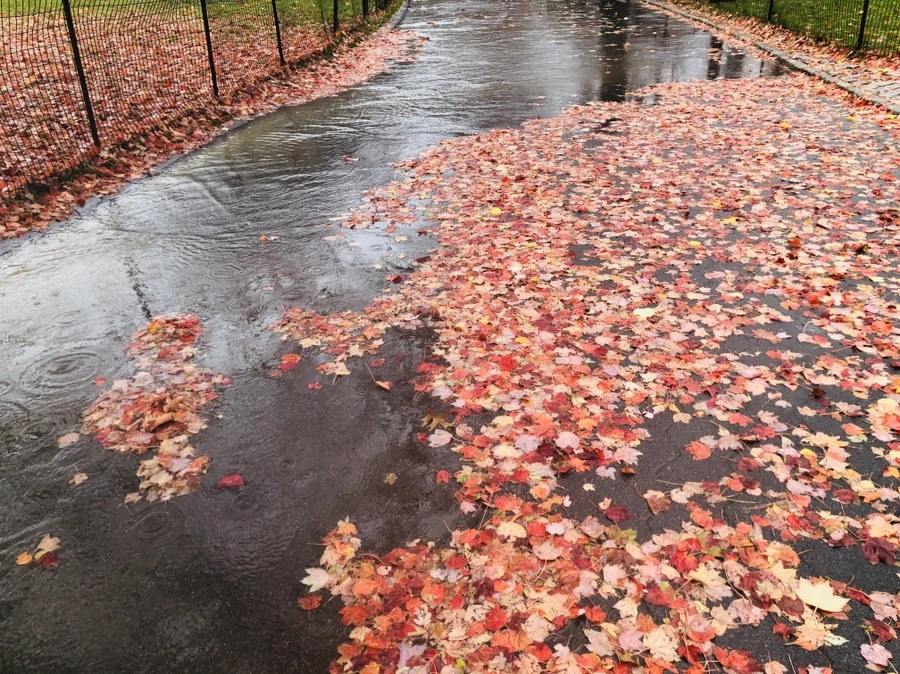 IMG_5727.jpg?type=w966