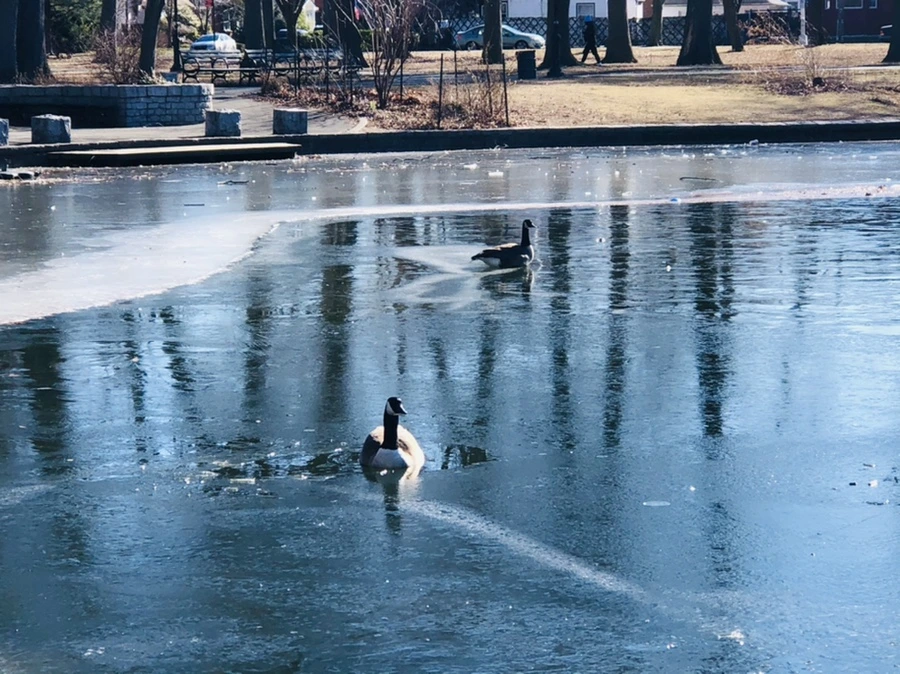 IMG_7933.jpg?type=w966