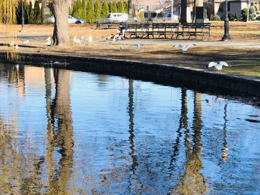 IMG_9772.jpg?type=w966