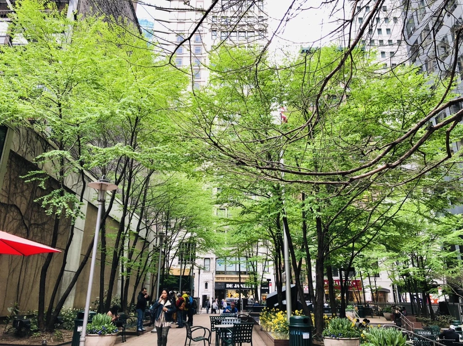 IMG_3061.jpg?type=w966