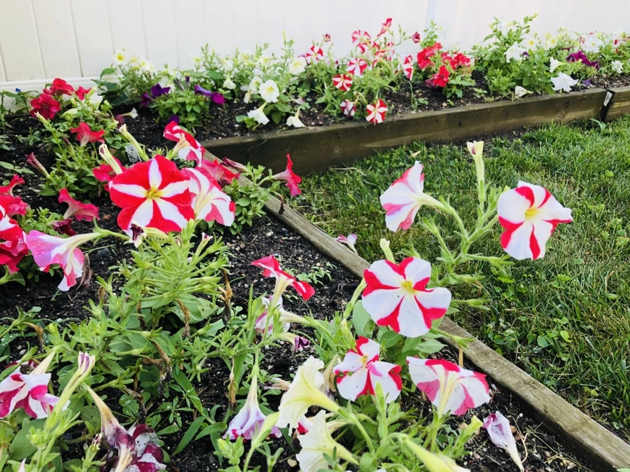 IMG_2141.jpg?type=w966