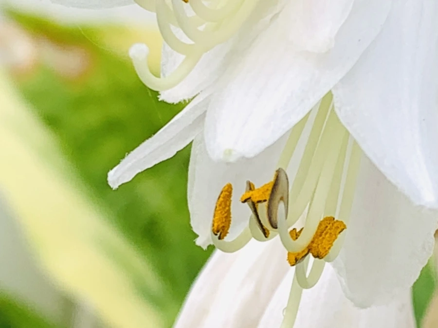 IMG_5857.jpg?type=w966