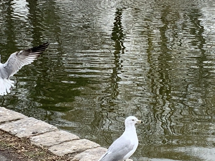 IMG_3869.jpg?type=w966