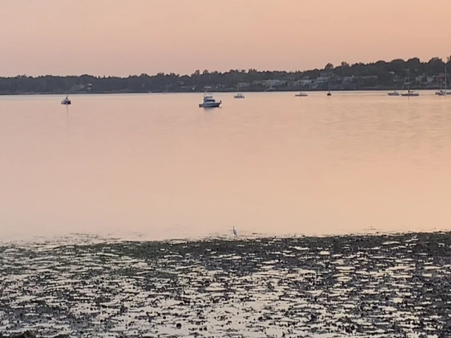 IMG_9572.jpg?type=w966