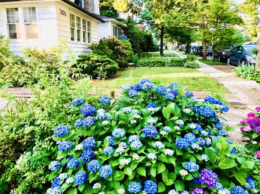 IMG_0549.jpg?type=w966