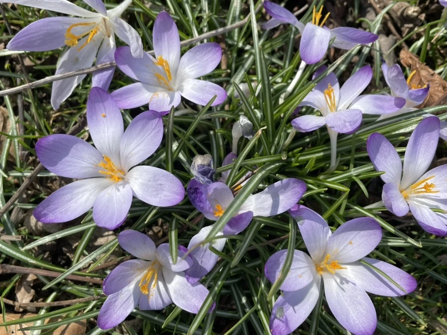 IMG_5324.jpg?type=w966