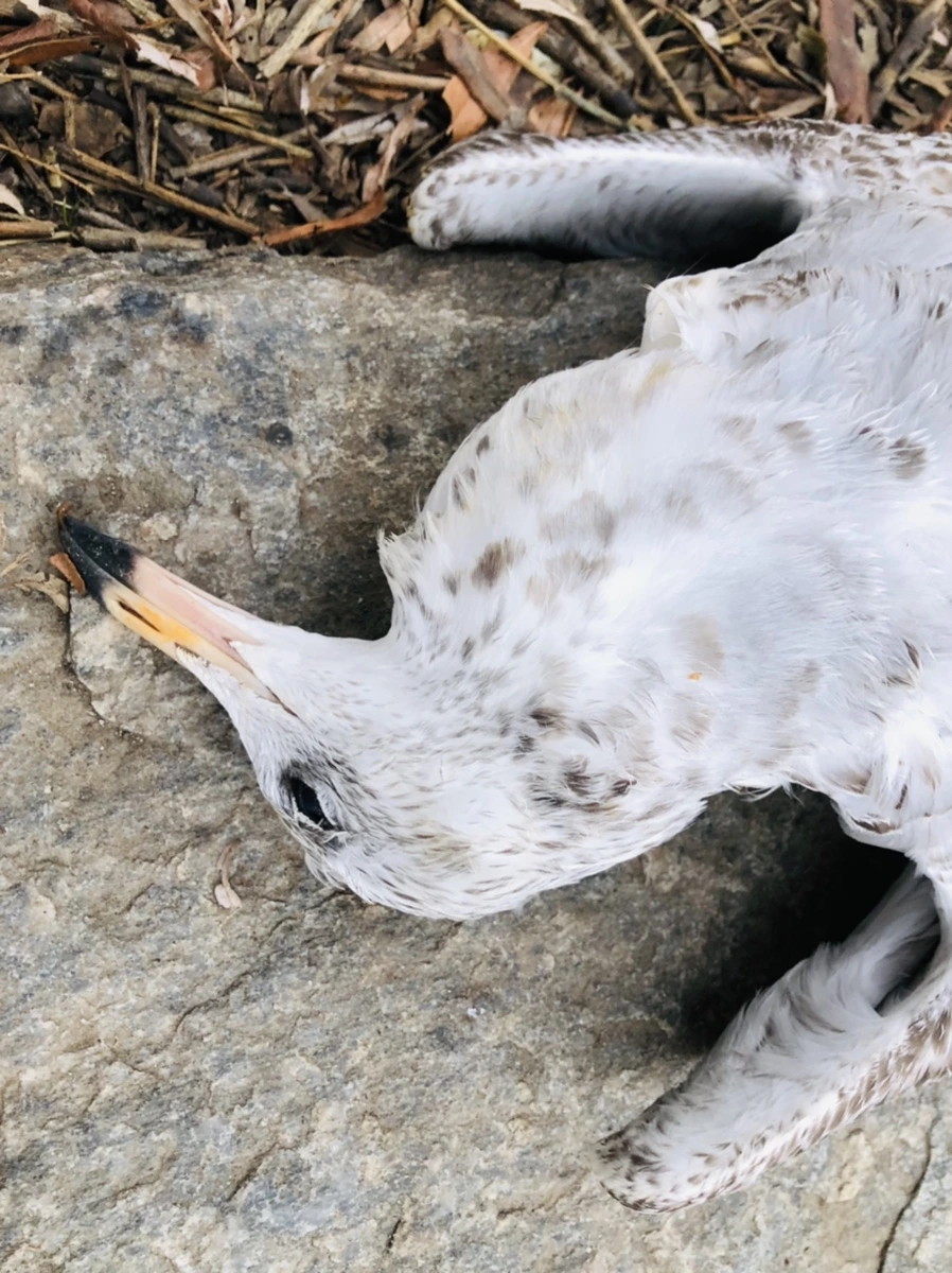 IMG_1930.jpg?type=w966