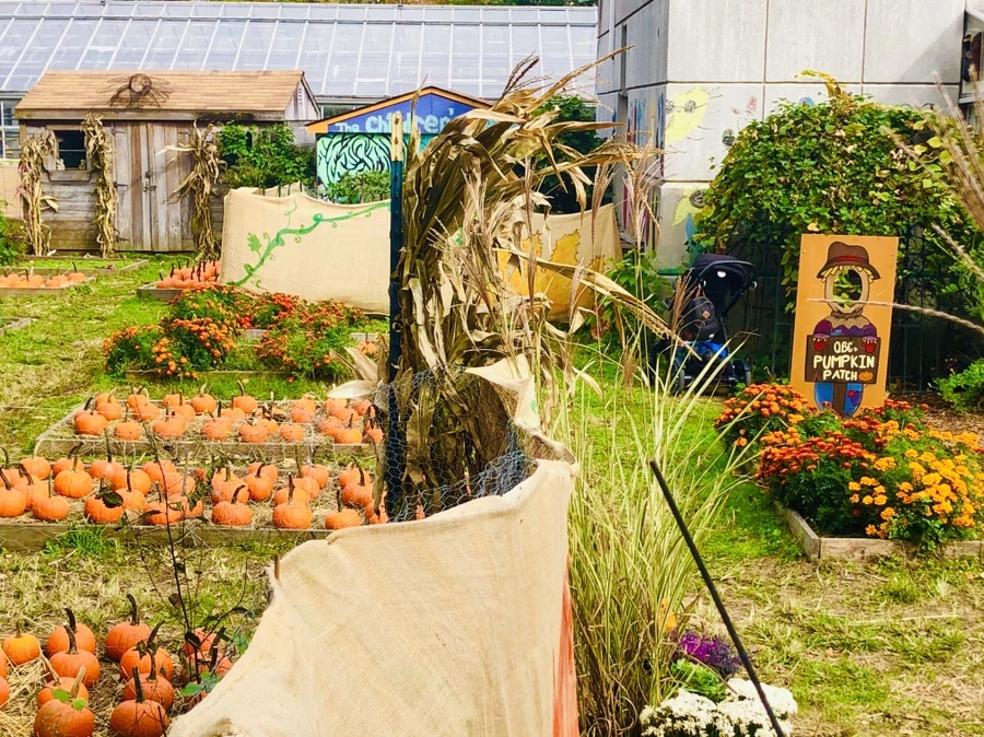 IMG_2830.jpg?type=w966