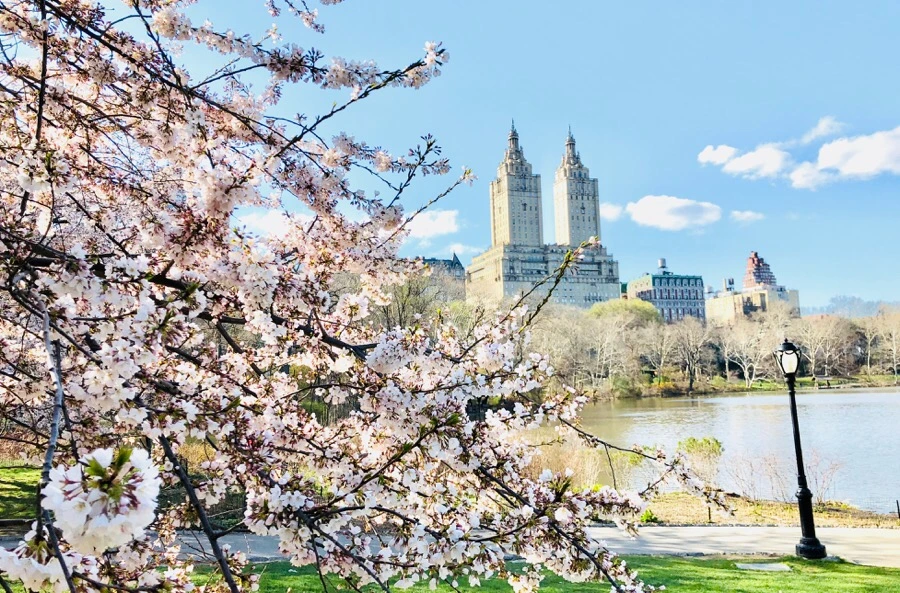 IMG_4529.jpg?type=w966