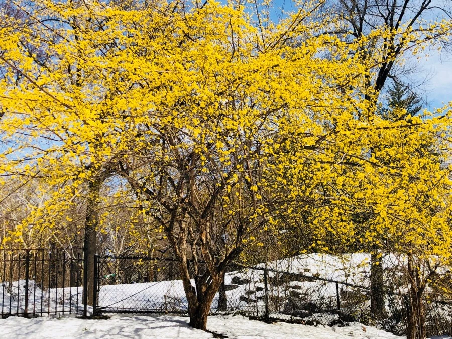 IMG_3503.jpg?type=w966