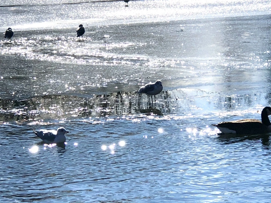 IMG_6863.jpg?type=w966