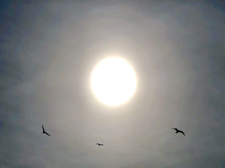 IMG_3166.jpg?type=w966