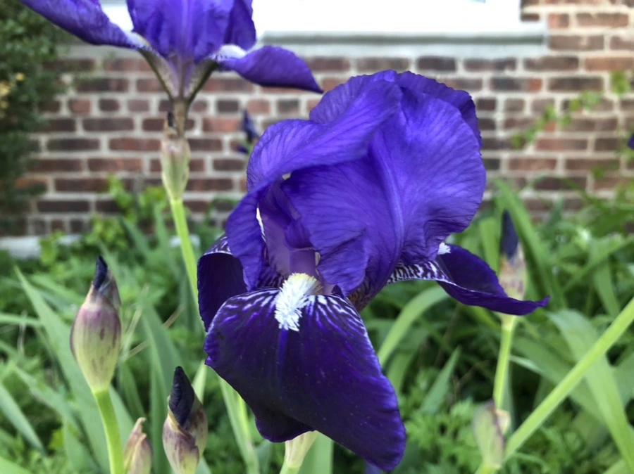 IMG_3858.jpg?type=w966