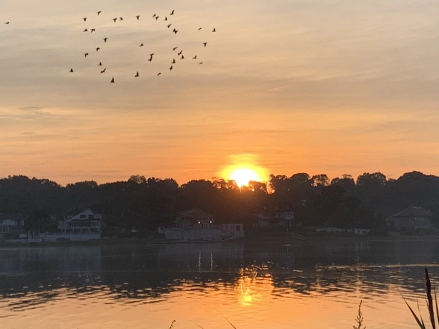 IMG_6838.jpg?type=w966