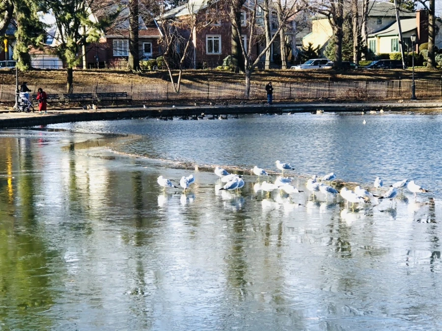 IMG_1195.jpg?type=w966