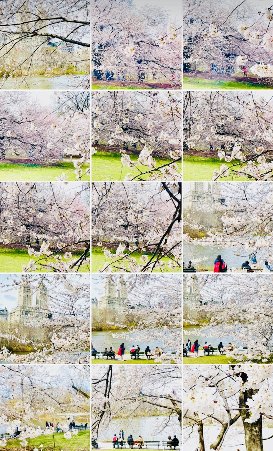 IMG_8989.jpg?type=w966