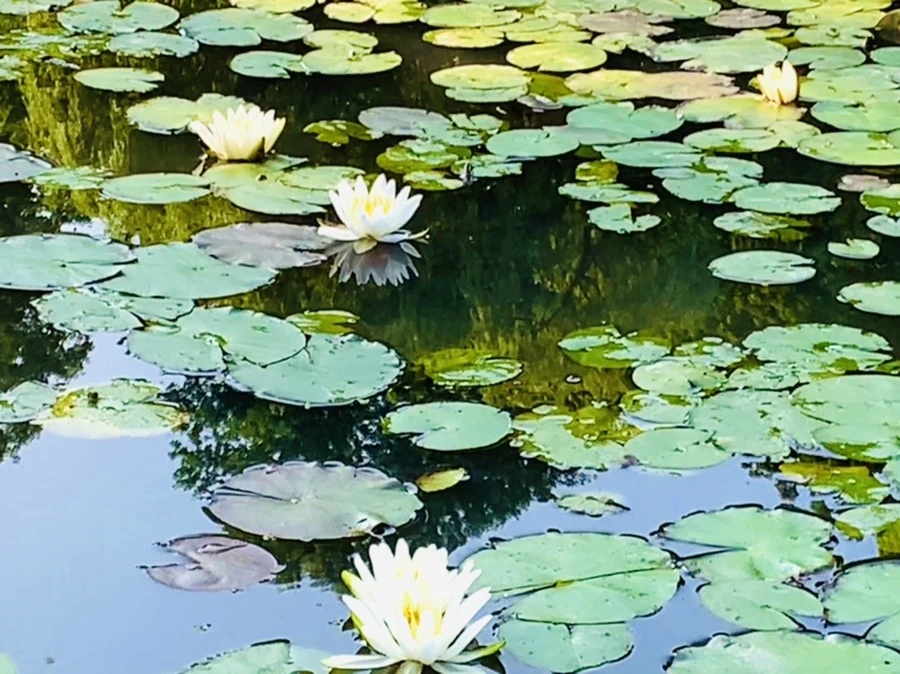 AYsOrCaivU8sJj13Yd-FbwyVgt0