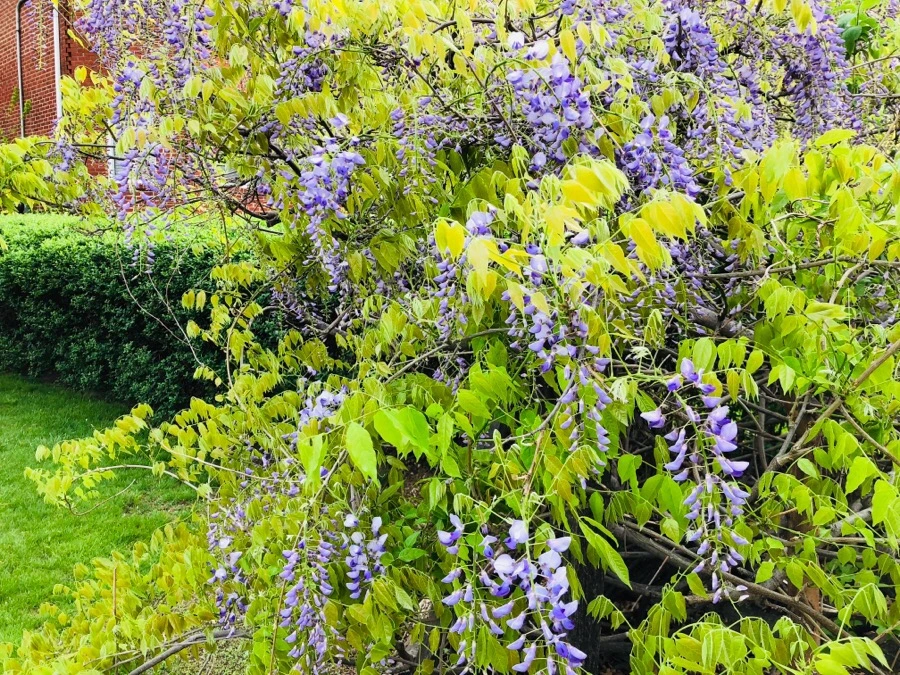 IMG_5584.jpg?type=w966