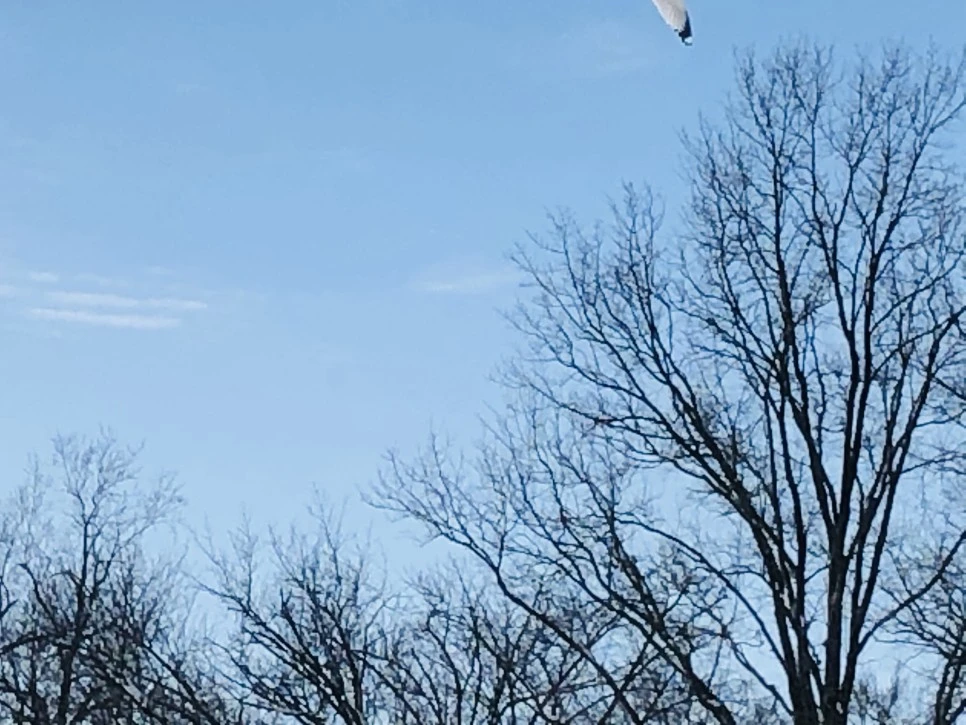 IMG_1302.jpg?type=w966